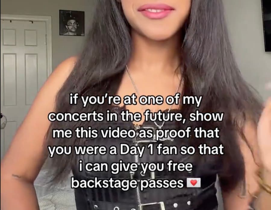 Creator promising a backstage pass to day-one fans